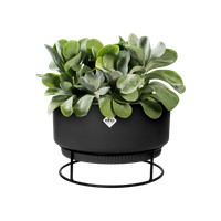 b.for studio bowl 30cm living black